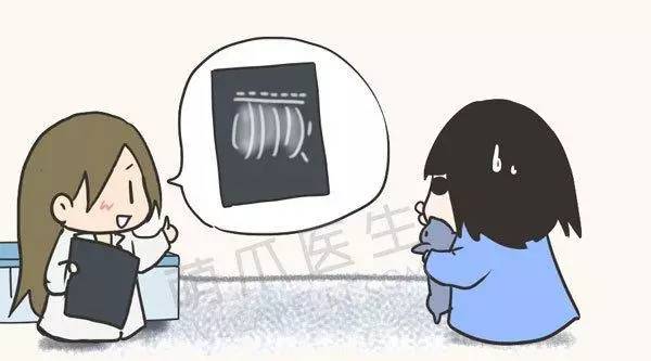 猫咪不吃饭流鼻涕口腔痰多,猫咪口臭不流口水拒绝进食