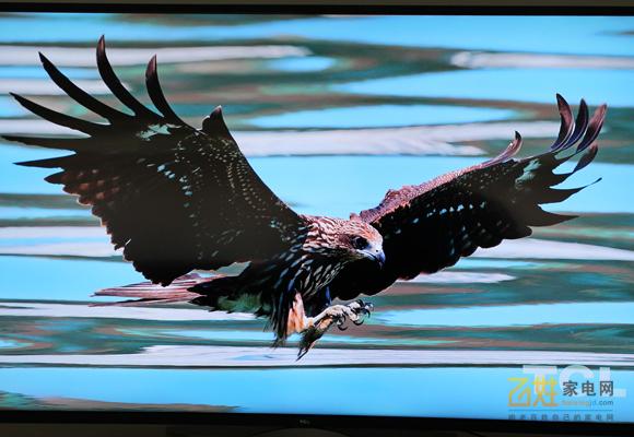 专为娱乐而生,专为健身运动而设计每日搭配