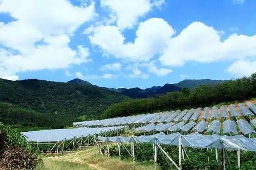 据说，江西人有了这条微信，就可以在韶关打开“仙境之门”！