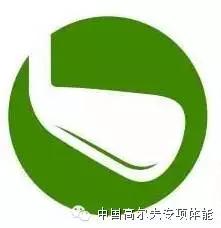 青少年高尔夫测试表,青少年高尔夫等级标准证图片