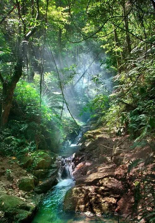 据说，江西人有了这条微信，就可以在韶关打开“仙境之门”！