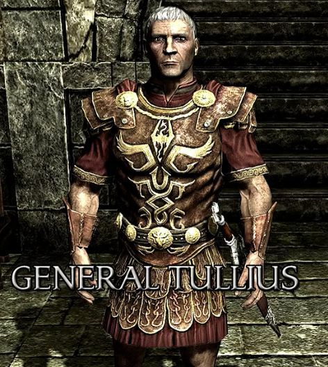 天际省那些参加过世界大战的人们，老滚里的人物录