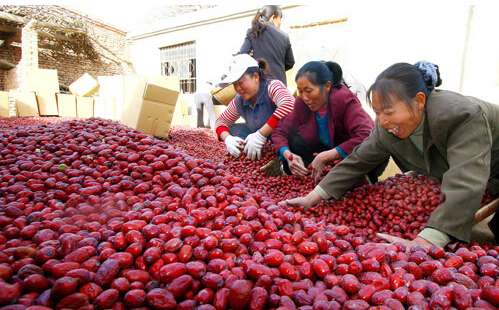 农业电商：贩枣的都是劫生辰纲的！