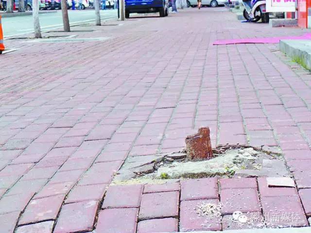 滕州相关的成语,滕州成语