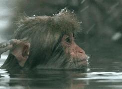 半身浴,半身浴有效果吗