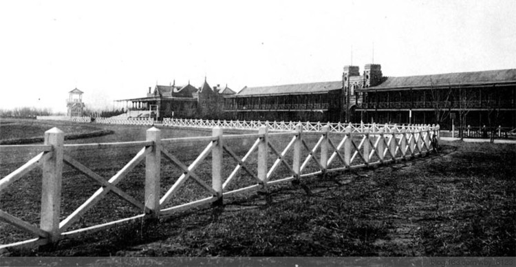 天津赛马,天津国际赛马场