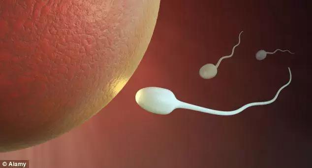 女性生育能力强不强？看这4个部位！