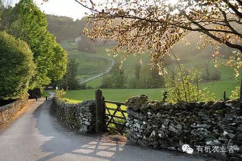 曾经|结伴跑在乡间小路上，跑过了整个童年~~