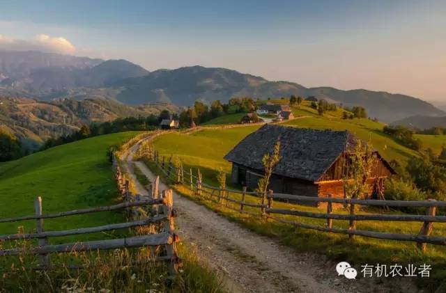 曾经|结伴跑在乡间小路上，跑过了整个童年~~