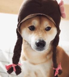 想必手感一定很赞！