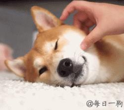 想必手感一定很赞！