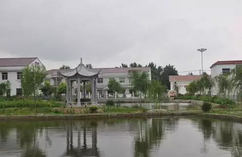 淮南信息发布平台,安徽网淮南官网最新消息