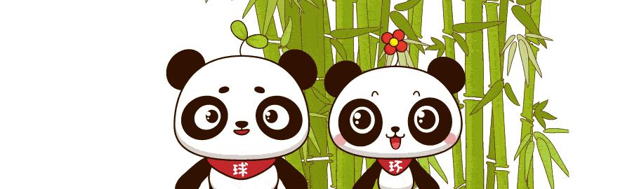 冬奥会中国终于放弃炒蛋，但我们还是被挪威花花辣了眼睛！