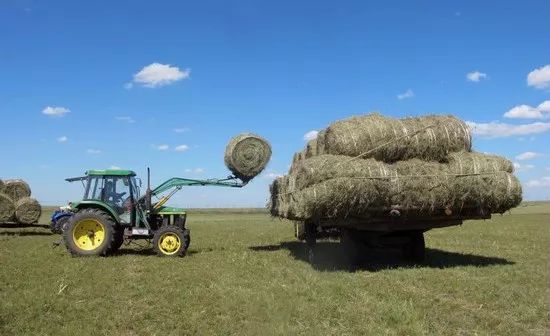 内蒙小草数字生态产业,内蒙古小草数字生态产业