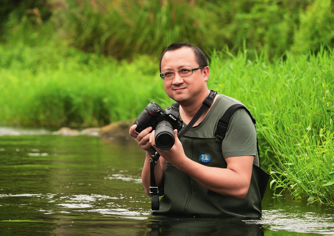 远离城市的自然之美,探寻城市中的自然之美