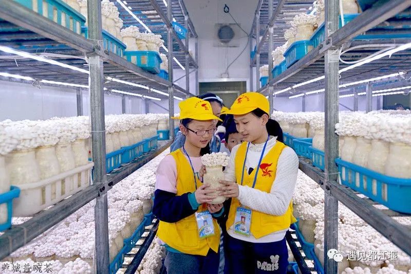 政府工作报告水利,都江堰发展理念