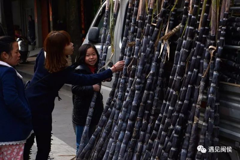 明天祭灶！闽都民俗园义卖甘蔗，每根才5元！