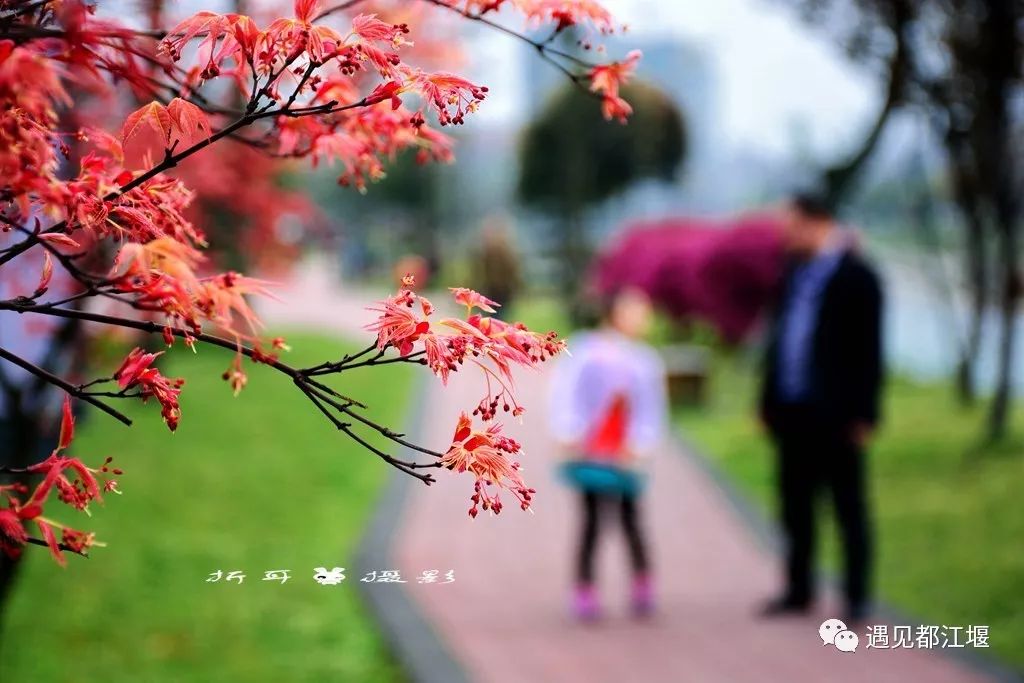 政府工作报告水利,都江堰发展理念