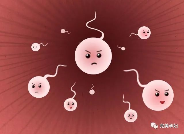 你这个小兔崽子用日语怎么说,你这个小兔崽子用英文怎么说