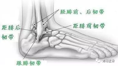 运动员踝关节扭伤后热敷还是冷敷,微垫脚之后脚踝扭伤怎么快速恢复
