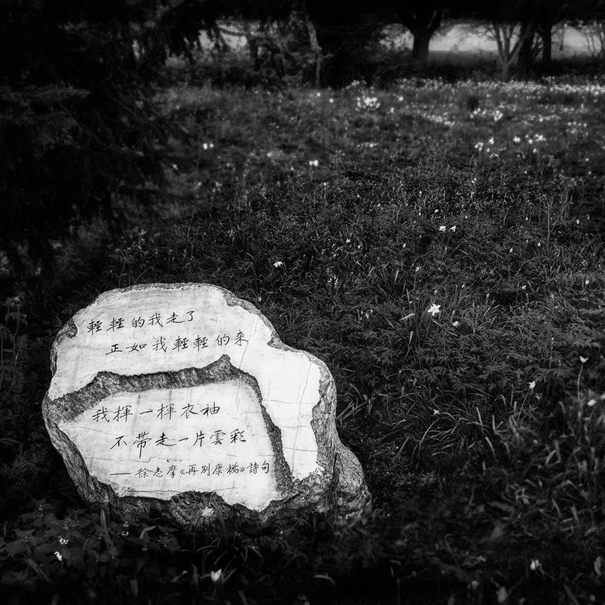 星球景点怎么找,星球主题景点介绍图片