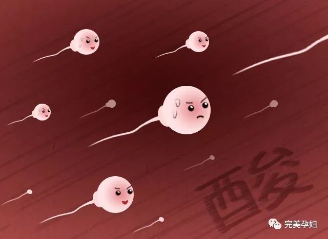 你这个小兔崽子用日语怎么说,你这个小兔崽子用英文怎么说