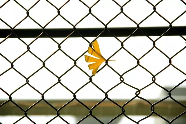 成都体育学院新校区规划,成都体育学院新校区计划招生多少