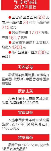 川南早茶之乡筠连,川南早茶