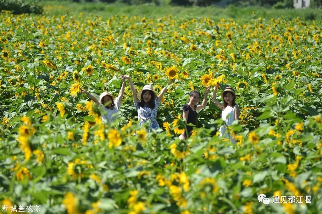 政府工作报告水利,都江堰发展理念