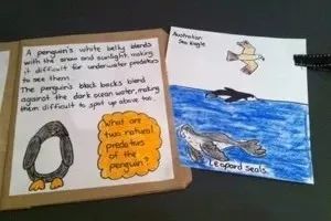 有创意的读书报告,读书报告怎么做又简单又好看