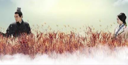 检察官手记经典片段,检察官手记视频