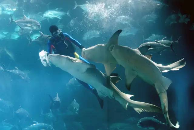 青岛春节香港旅游攻略,青岛春节自驾旅游攻略