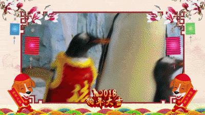 青岛春节香港旅游攻略,青岛春节自驾旅游攻略