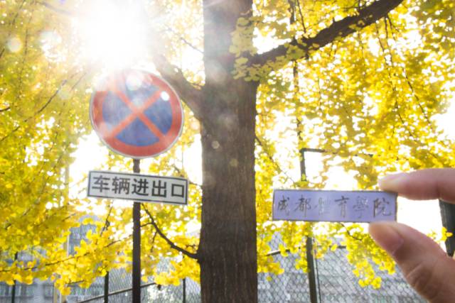 成都体育学院新校区规划,成都体育学院新校区计划招生多少