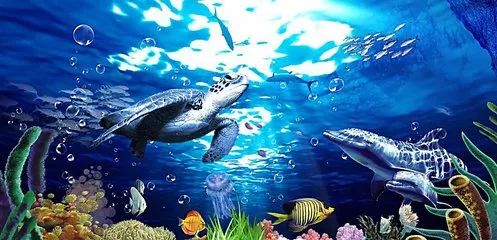 青岛春节香港旅游攻略,青岛春节自驾旅游攻略