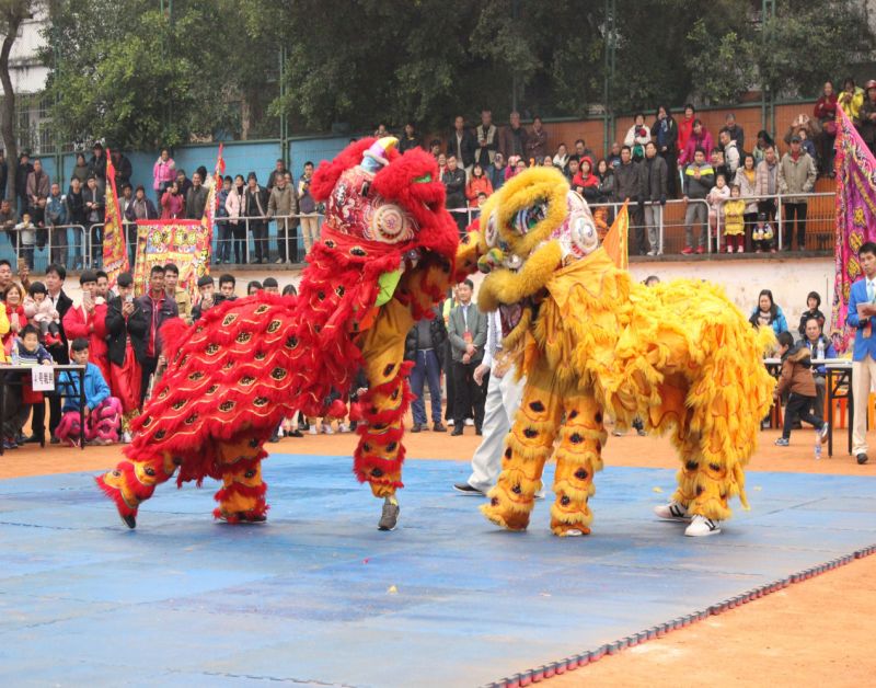最精彩狮王争霸赛,狮王争霸赛精彩视频