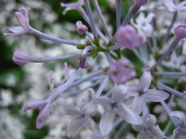 绝美！《呼和浩特，蔚蓝的长歌》里藏着青城人的幸福密码……