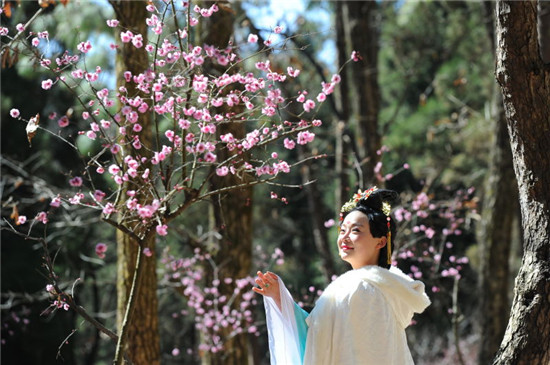 春节昆明周边好玩的地方推荐,昆明春节出游