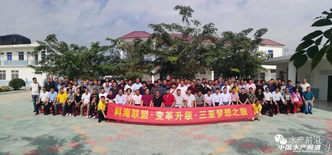 观赏虾选育 (助力春虾育种)