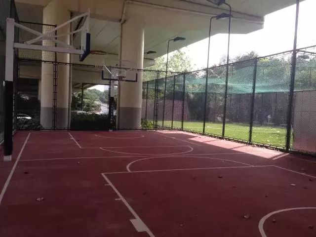 春节七天别长膘，运动场上“泡一泡”，这些运动场就在你家门口！