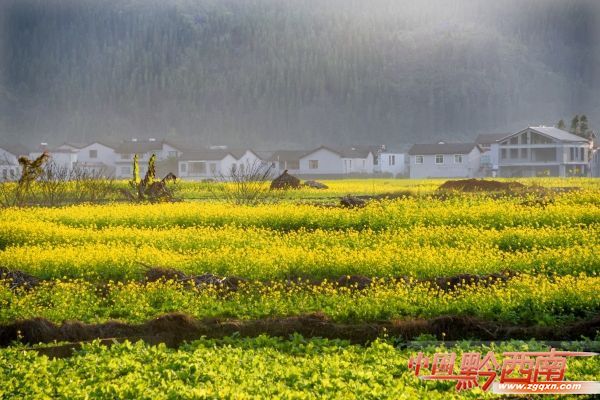 春节到贵阳游玩,春节黔西南五日游