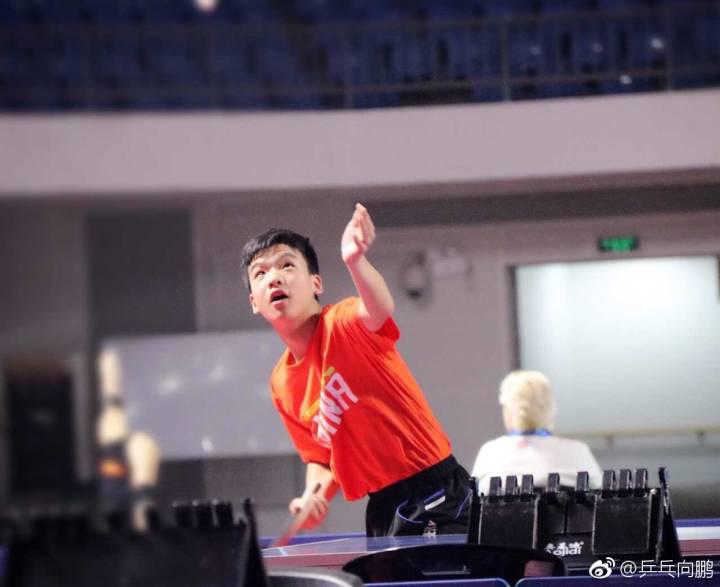 乒乓球世锦赛2019向鹏,国乒向鹏晋级8强