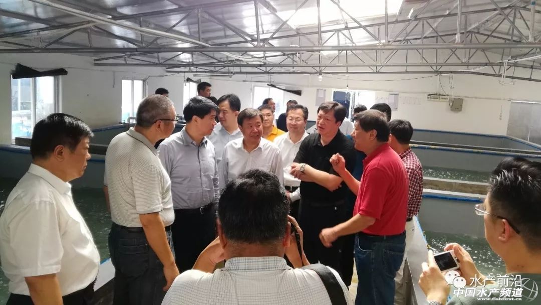 观赏虾选育 (助力春虾育种)