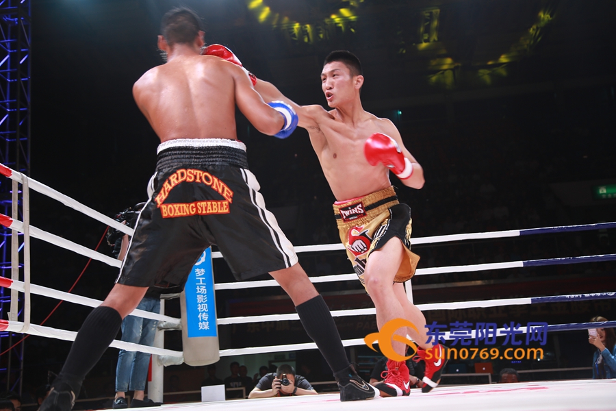 东莞体育展示,东莞市运动会2017赛程