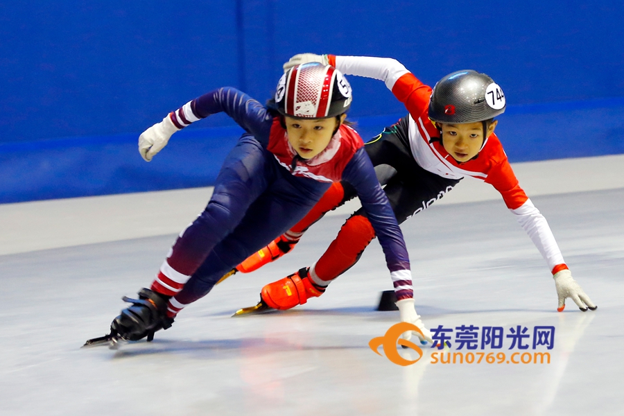 东莞体育展示,东莞市运动会2017赛程