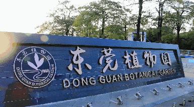 美翻了！春节不用出东莞，这个植物宝库带你游世界！现在就可去体验