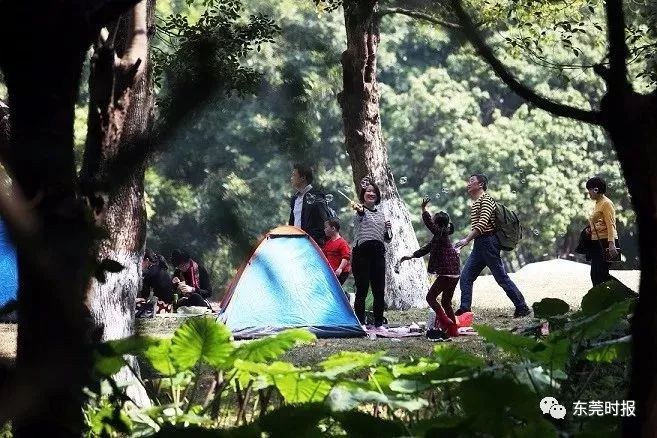 美翻了！春节不用出东莞，这个植物宝库带你游世界！现在就可去体验