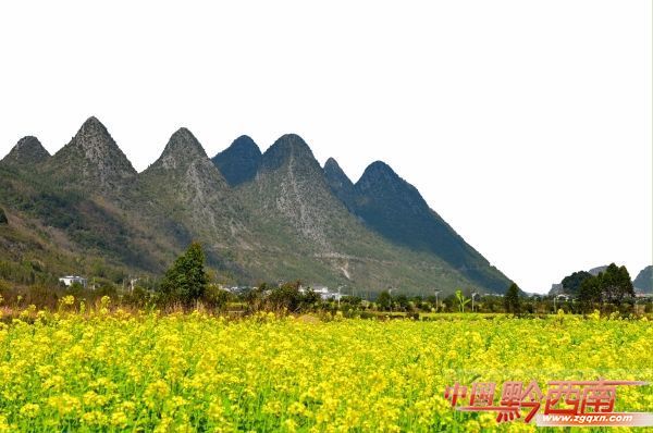 春节到贵阳游玩,春节黔西南五日游