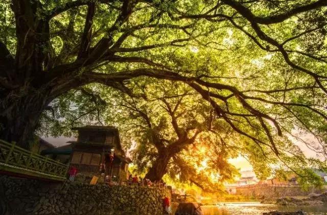 国内风景最好的旅游景点冬天,国内各地最美的十大自驾游线路