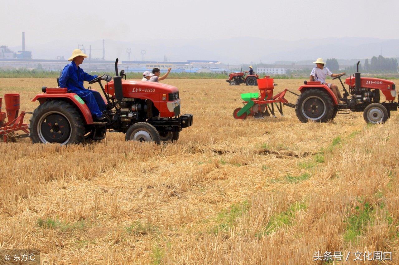 文化周口｜河南周口淮阳县曹河乡